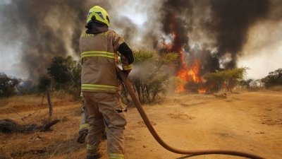 Exdirector regional de Conaf en el Biobío : “En Chile no se hace prevención de incendios forestales”