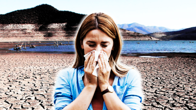 Alergias más intensas, sequía y estrés térmico: Cómo el cambio climático afecta la vida diaria en Chile
