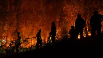 Usach trabaja en sistema para predecir de manera exacta en qué lugar habrá incendios forestales