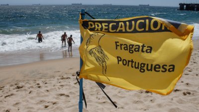 Alerta veraneantes: Fragata portuguesa obligó a prohibir el baño en Algarrobo, El Quisco y Concón