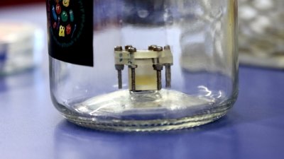 Usach lidera misión que estudiará el comportamiento de microorganismos extremófilos en el espacio