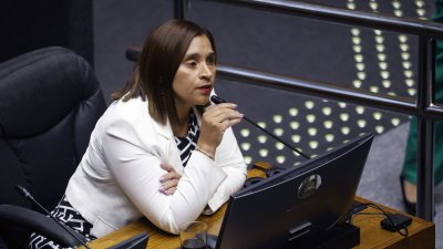 Senadora Fabiola Campillai asumió la presidencia de la Comisión de Derechos Humanos