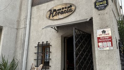 La Casa de la Gata Horacia: Un hogar protegido para los amantes de los felinos en pleno corazón de Providencia