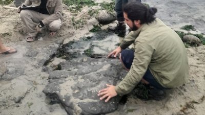 Confirman presencia de dinosaurios terrestres y aves del Cretácico en Algarrobo