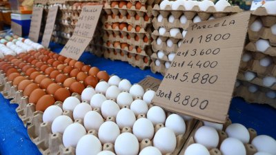 ¿XL, Premium o Súper Color?: Entregan guía para entender las categorías de huevos que se venden en Chile
