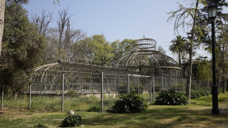 Proyecto busca revivir el invernadero del Parque Quinta Normal tras 104 años cerrado