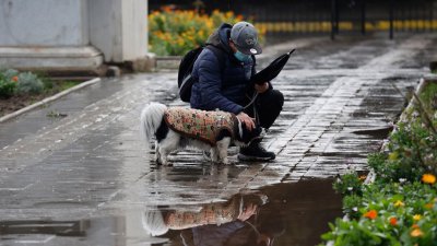 Dejar a una mascota expuesta a la lluvia o al frío: ¿Existen consecuencias legales?