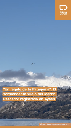Un regalo de la Patagonia: El sorprendente vuelo del Martín Pescador registrado en Aysén