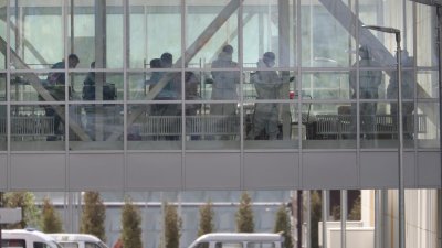 Peste neumónica: La infección grave que puede pasar de persona a persona y que Chile mantiene bajo vigilancia