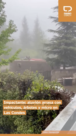 Impactante: Aluvión arrasa con vehículos, árboles y micros en Las Condes