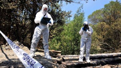 Países de Latinoamérica piden que la ONU cree un protocolo sobre delitos ambientales